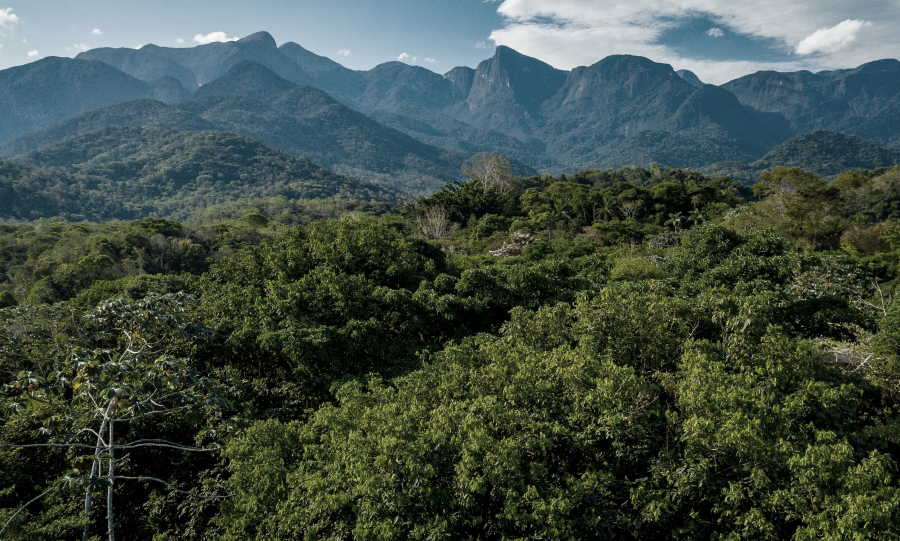 Floresta e montanhas vistas de cima