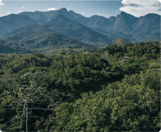 Floresta densa com montanhas ao fundo e céu azul, simbolizando biodiversidade e preservação ambiental.