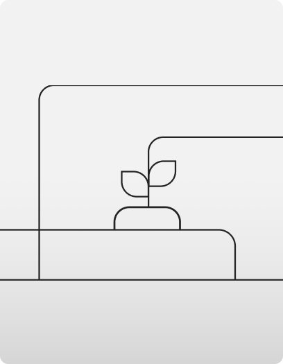 Planta ilustrada com traços finos.
