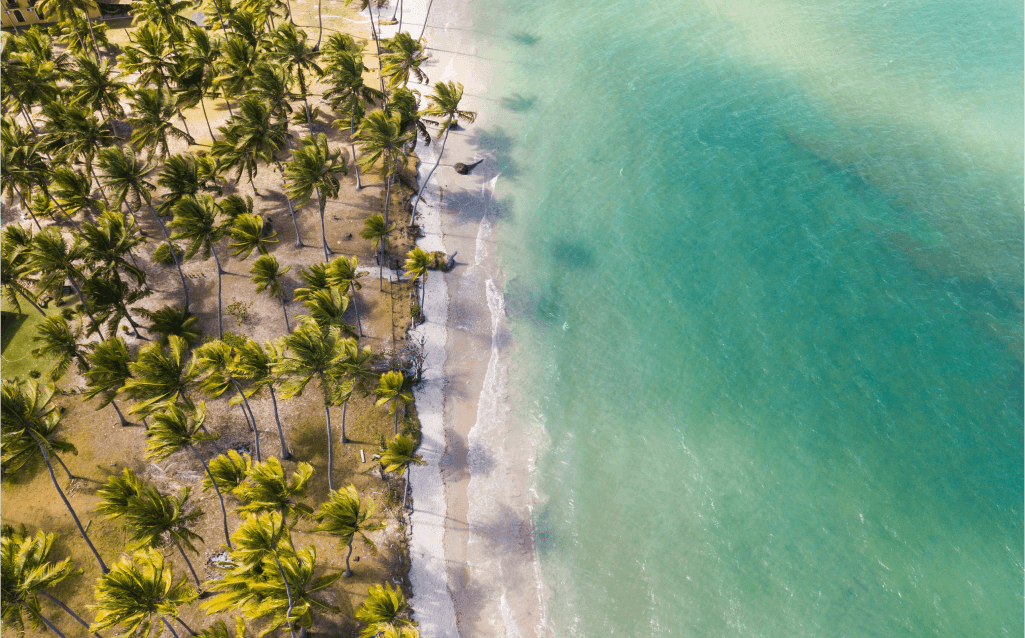 Vista aérea de uma praia de Maragogi, Alagoas, com coqueiros e águas cristalinas.