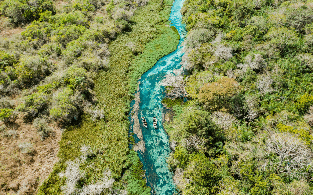 Vista aérea do Rio Sucuri, em Bonito, Mato Grosso do Sul, cercado por vegetação exuberante.