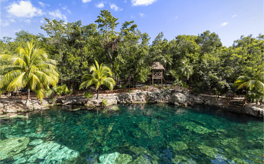 Cenote cristalino cercado por vegetação tropical exuberante no México, com uma cabana de madeira ao fundo e reflexos verdes nas águas calmas. 