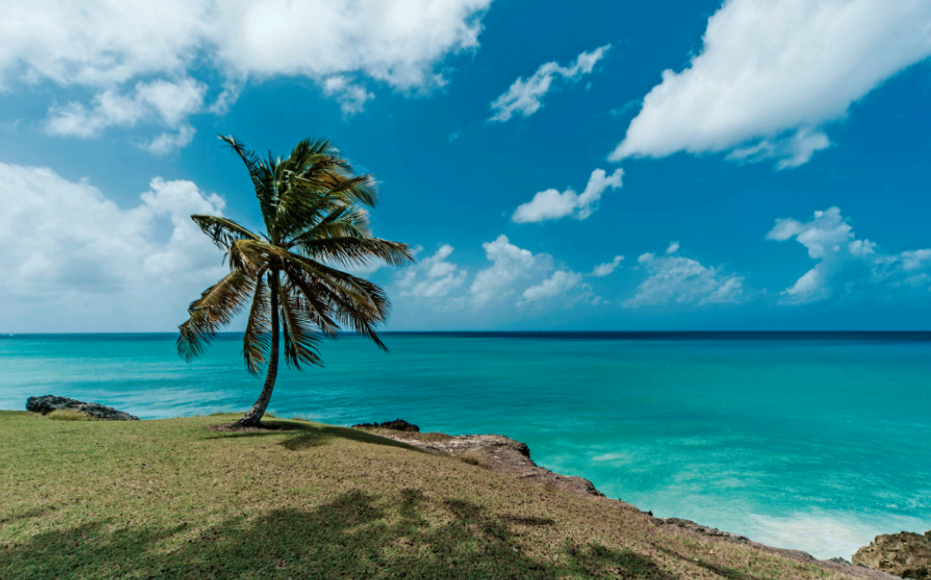 Paisagem de Barbados