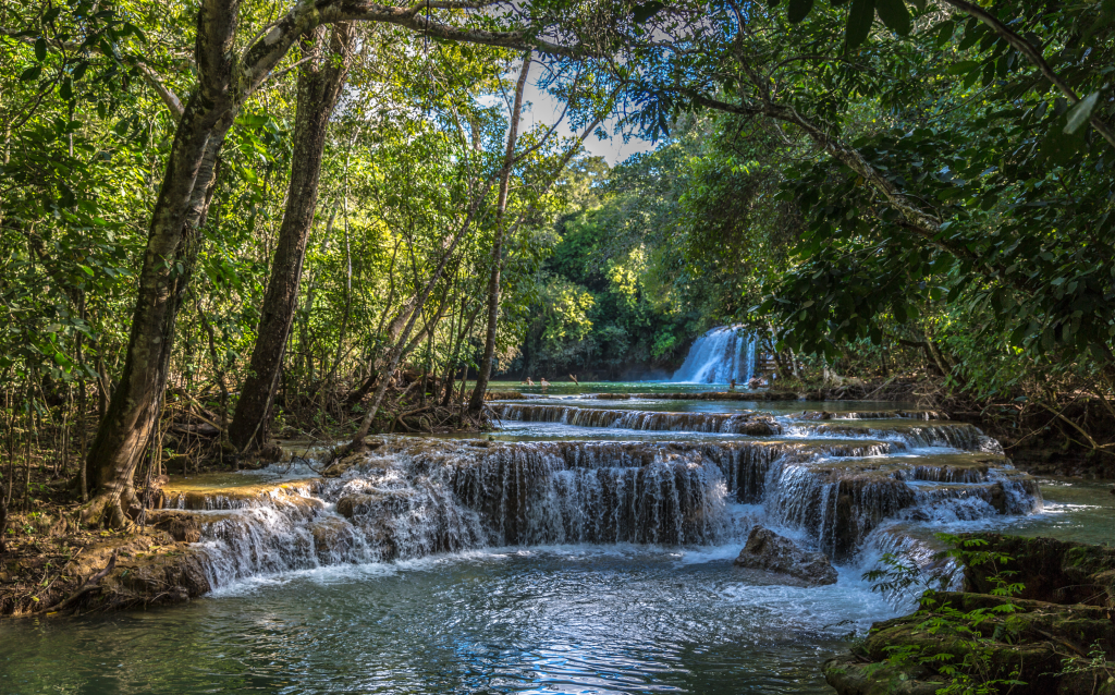 Imagem de uma bela cascata em meio à natureza exuberante, com águas cristalinas e vegetação densa, ideal para explorar em ecoturismo.