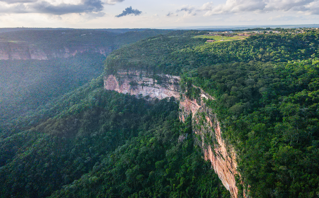 Vista aérea deslumbrante de um penhasco rodeado por densa vegetação nativa, destacando a beleza natural da região.