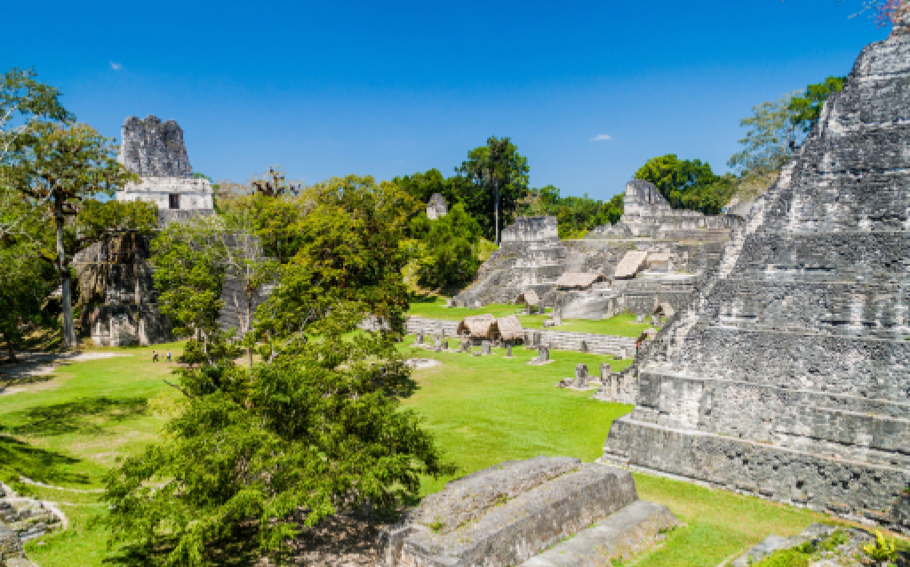 Ruínas de Tikal, uma antiga cidade maia na Guatemala, cercada por vegetação exuberante e céu azul. Ideal para turistas e estudiosos da história.