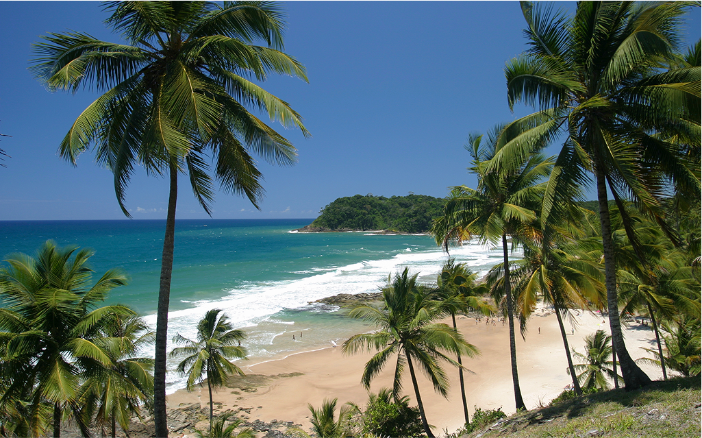   Praia tropical com palmeiras embelezando o cenário, areia dourada e mar azul cristalino. Um destino perfeito para férias relaxantes.