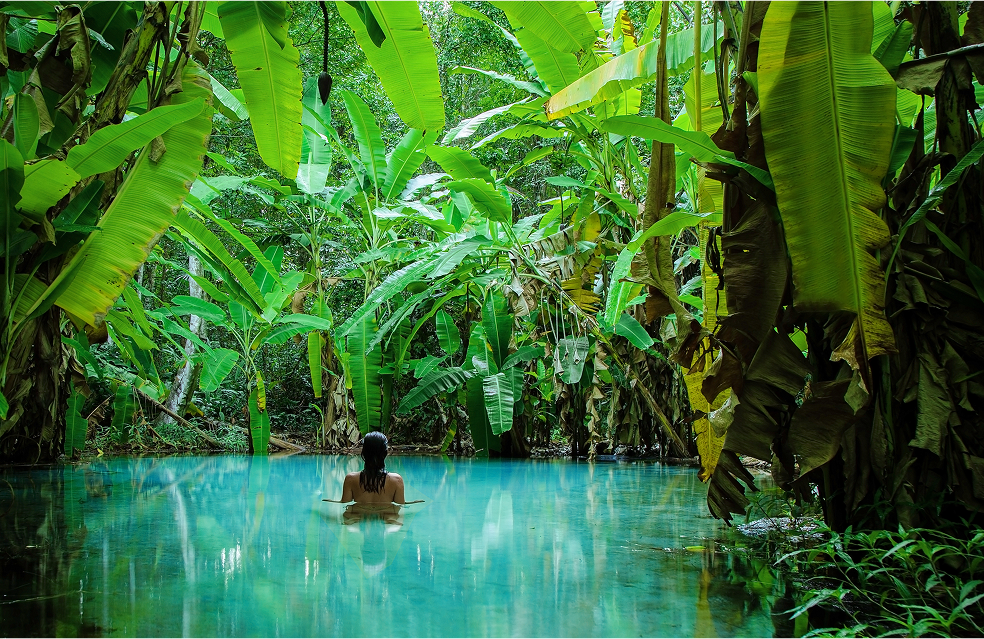   Uma mulher relaxando em uma água azul em meio a vegetação exuberante de uma floresta tropical com plantas altas e folhagens verdes.