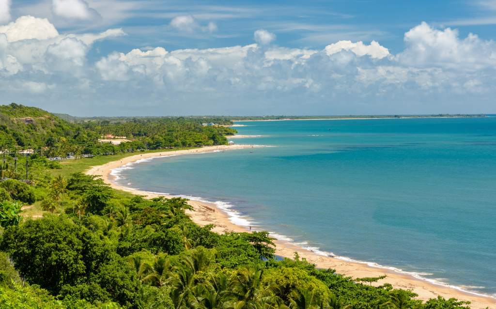 Vista panorâmica de uma praia tropical, com coqueiros e águas azuladas sob um céu claro e nuvens brancas, ideal para um destino de férias.