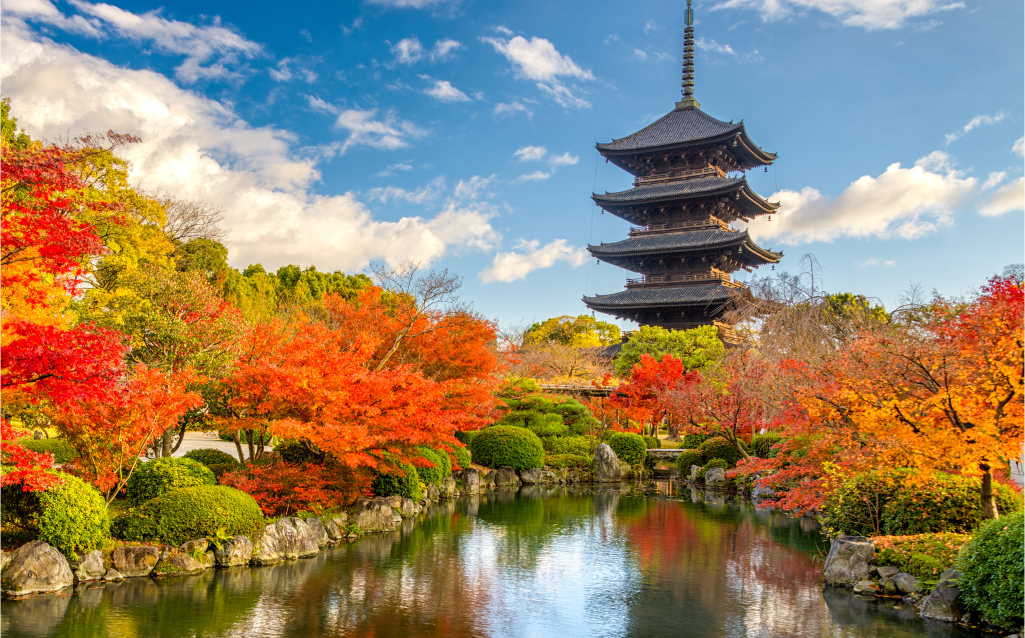   Vista encantadora de um templo japonês rodeado por árvore de bordo com folhas vermelhas e laranjas, refletindo no lago sereno sob um céu azul.