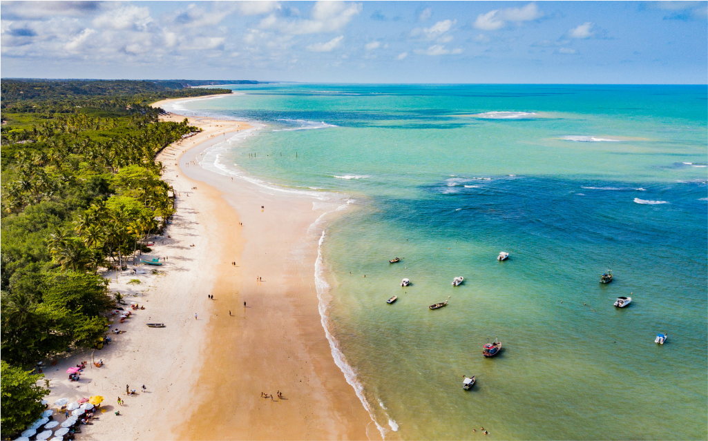 imagem lateral de uma praia em Trancoso com a areia, mar e mata.