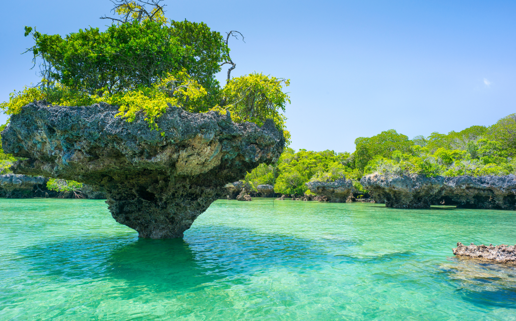 Imagem de uma formação rochosa coberta de vegetação, flutuando em águas cristalinas em um ambiente natural exuberante, perfeito para turismo ecológico.